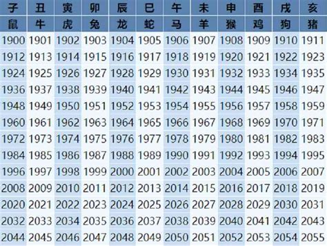 属马2023年几岁|属马的年份有哪些 属马的年份及年龄对照表